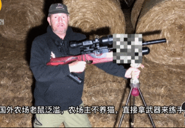 皇冠信用网代理
_头部中弹！近日安徽18岁男孩深夜遭遇枪击皇冠信用网代理
，枪是从哪来的？