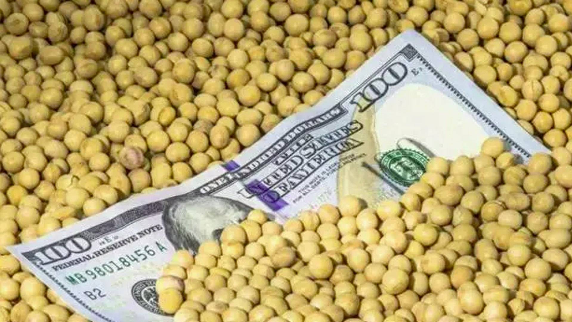 皇冠信用网足球代理
_美国大使给中方发来通牒皇冠信用网足球代理
，要求交出港口！美媒发现：中国采购美国大豆陷入停滞