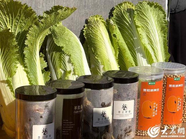 皇冠信用平台出租
_山东青岛:全国首批“板蓝根白菜”喜获丰收皇冠信用平台出租
,正式上市!首批10万棵已被上海采购商“包圆”