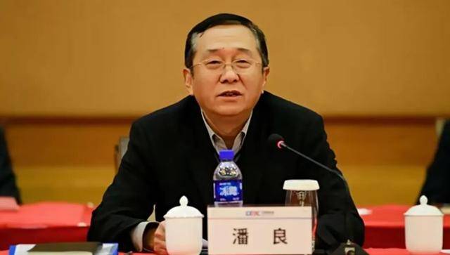 世界杯足球平台代理_打虎!69岁潘良被查世界杯足球平台代理,系国务院国资委原副部级干部